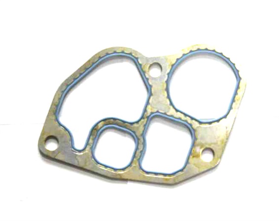 FKM gasket